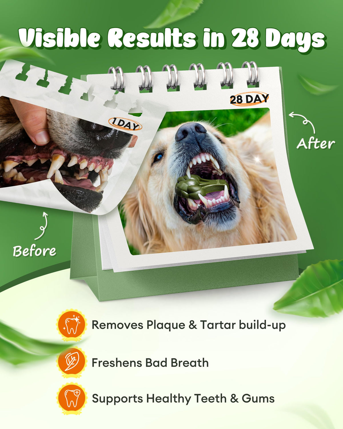 Dog Dental Chews 12oz 10 Count T27953