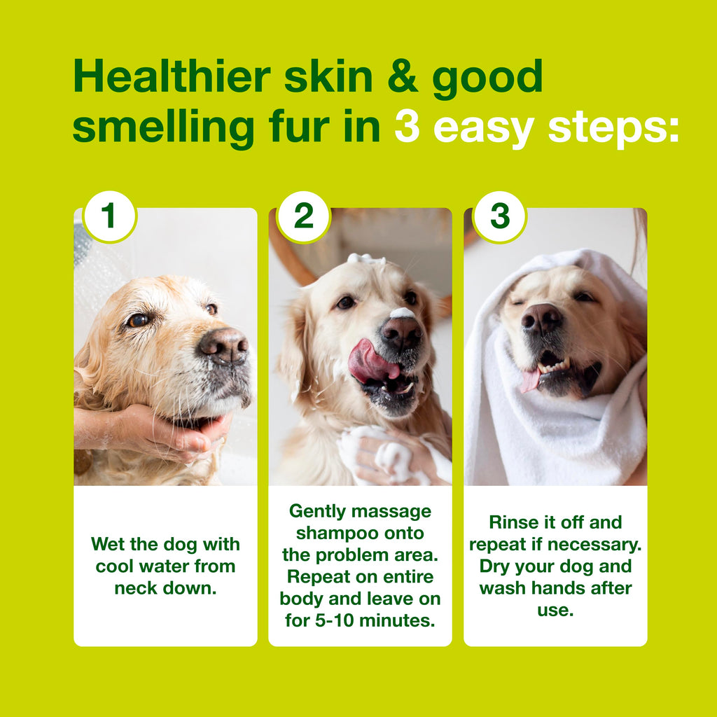 Dog Seboregulating Shampoo 6.7 fl oz N7129