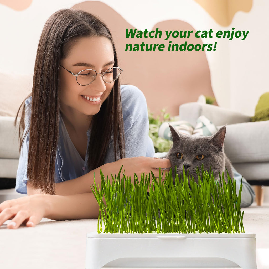 Cat Grass Kit with Organic Seeds Mix and Hydroponic Sprout Tray H3751
