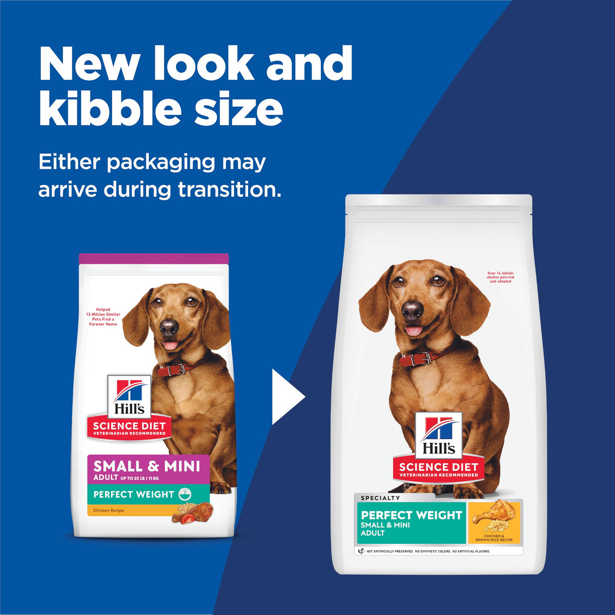 Dry Dog Food C743