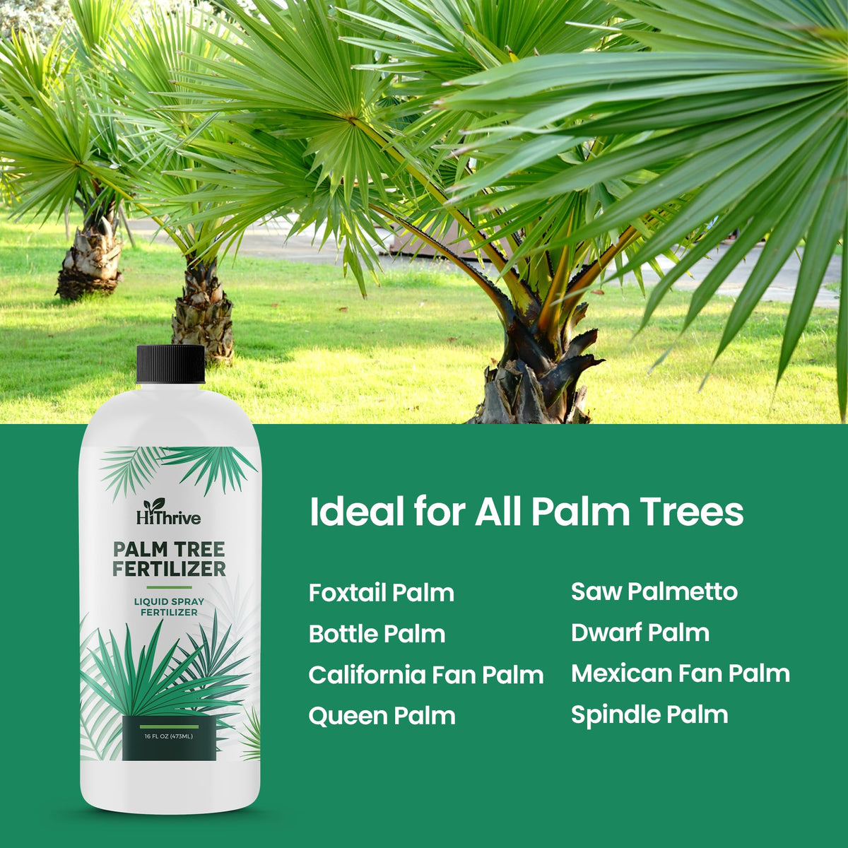 16oz Palm Tree Fertilizer C4552