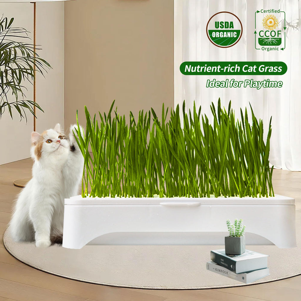 Cat Grass Kit with Organic Seeds Mix and Hydroponic Sprout Tray H3751