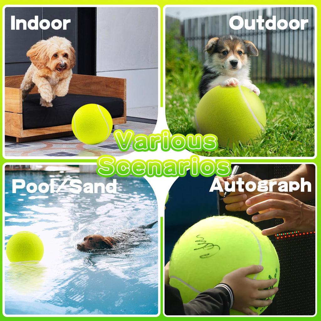 Dog Tennis Ball Y960