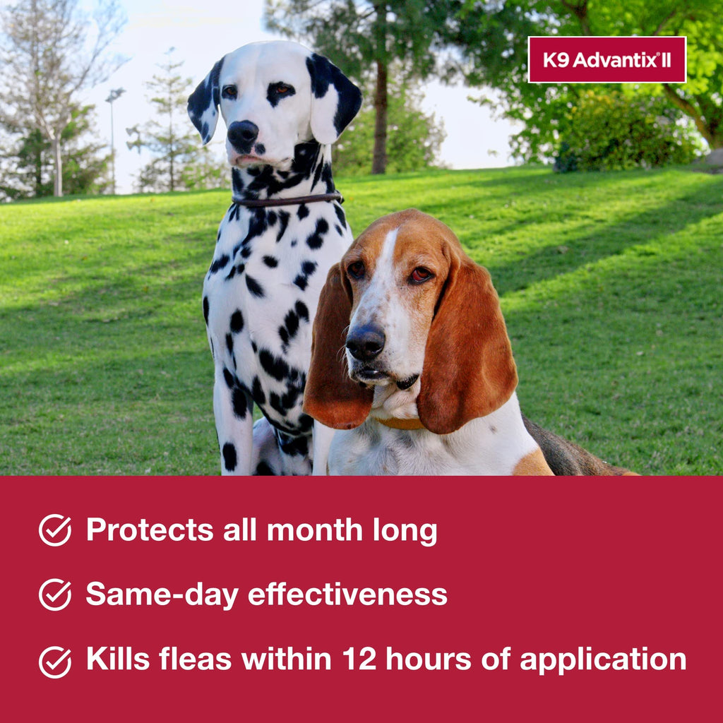 Flea & Tick Topical for Medium Dogs 11–20 lbs., 2ct T89197