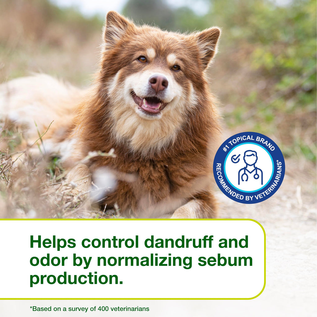 Dog Seboregulating Shampoo 6.7 fl oz N7129