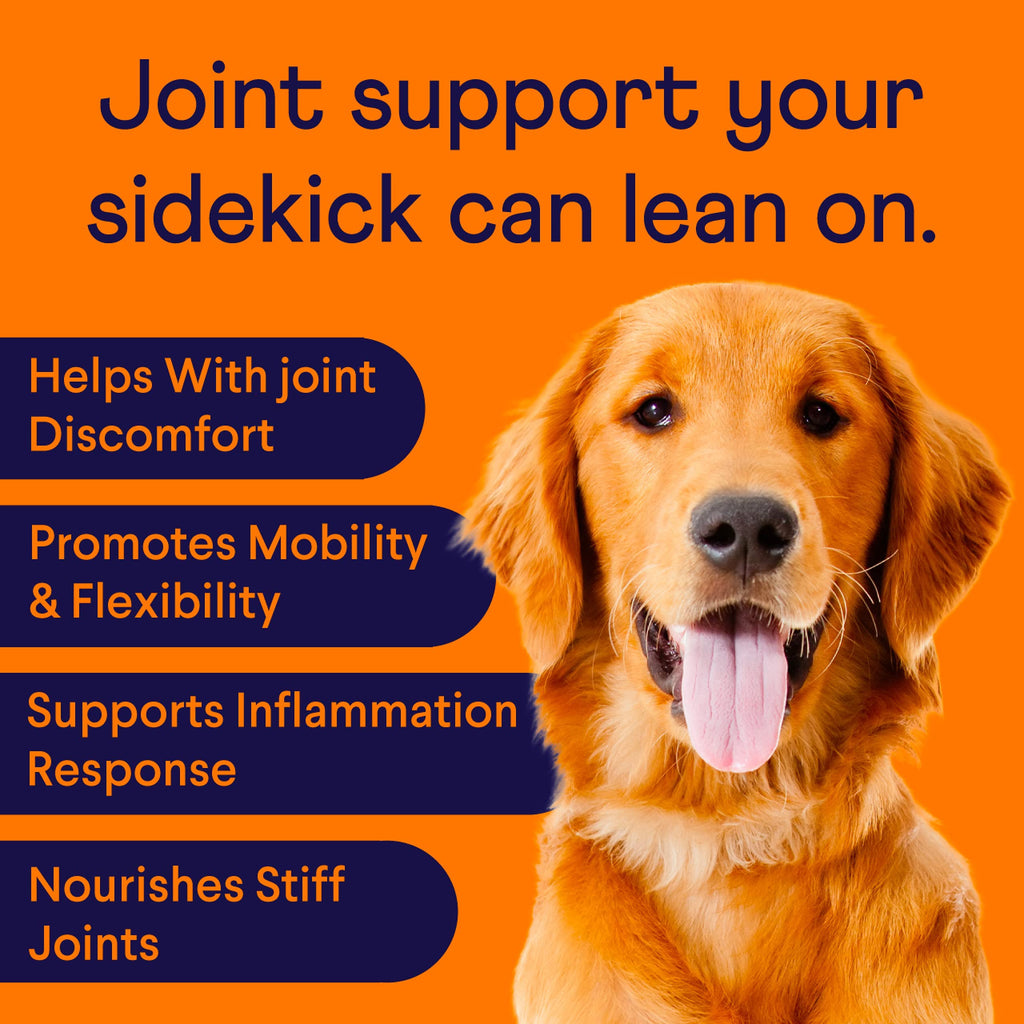 Hip & Joint Chews for Dogs, 90 Ct L764326