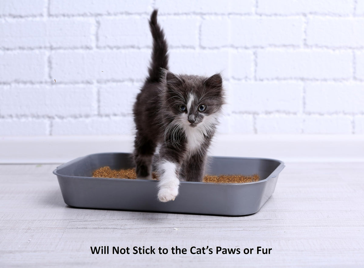 2.2 Lb Activated Charcoal Cat Litter Deodorizer Z2000