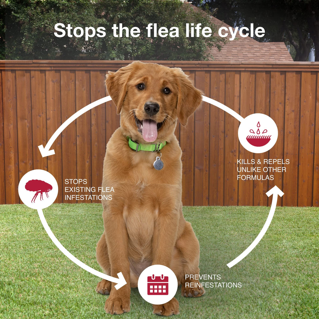 Flea & Tick Topical for Medium Dogs 11–20 lbs., 2ct T89197
