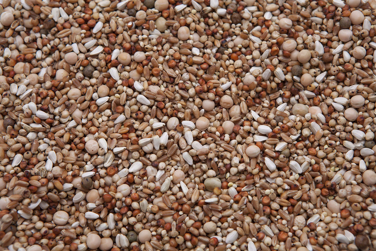 No Corn Special Mix (13.5%) (20) N562412
