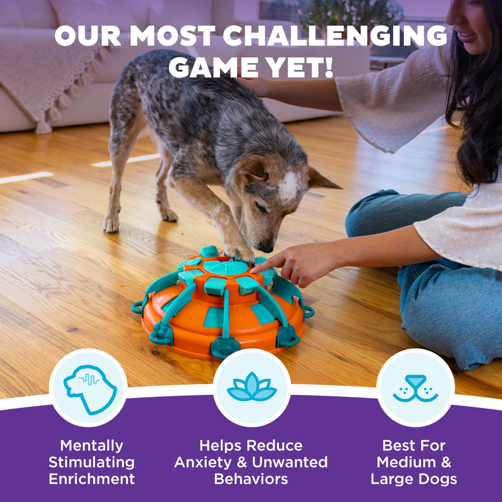 Dog Toy Treat Puzzle S2054